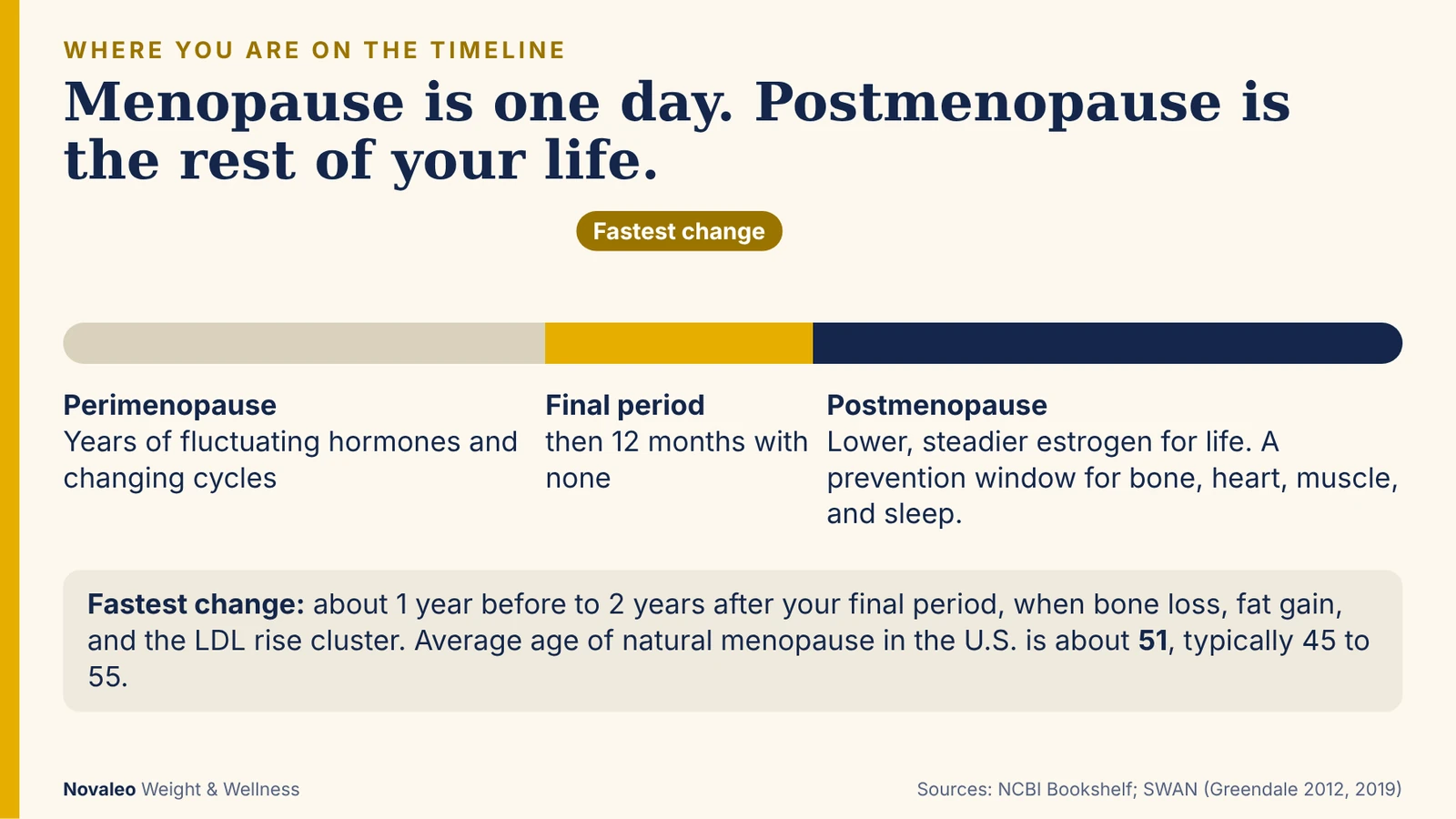 Infographic timeline from perimenopause through the final period to postmenopause, highlighting the fastest-change window from one year before to two years after the final period